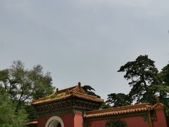 -北陵公园
