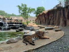 -北京野生动物园