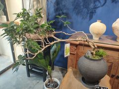 -弗劳尔花艺坊(龙涛店)