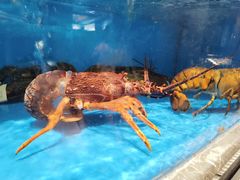 -百富源·海鲜辽菜(和平北大街店)