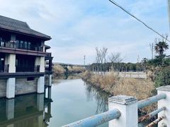 -东平国家森林公园