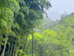 -莫干山风景区