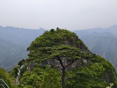 -圣莲山风景区