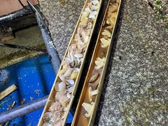 -竹泉农庄·竹筒饭(从化店)
