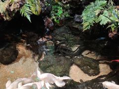 -太平洋海底世界