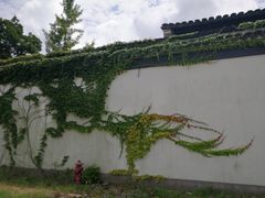 -金庸书院