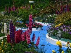 -上海共青森林公园