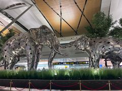 -曼谷素万那普国际机场