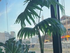 -俏贝拉(裕后街店)