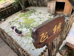 -太极禅苑