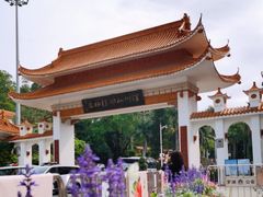-深圳仙湖植物园