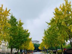 -西南政法大学(渝北校区)