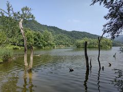 -玉渡山自然风景区