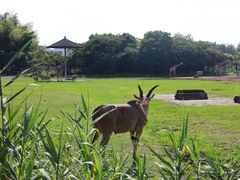 -宁波野生动物园