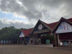 -上海海湾国家森林公园