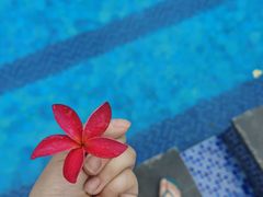 -西双版纳融创皇冠假日度假酒店