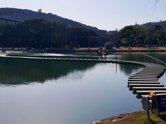 -上海佘山世茂艾美酒店