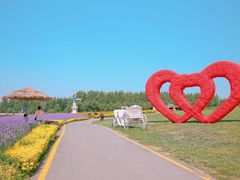 -北纬44度·金珠花海休闲农业旅游景区