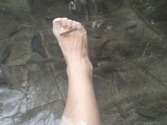 -三亚珠江南田温泉度假区