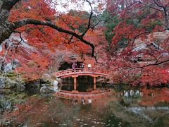 -醍醐寺