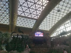 -杭州开元森泊度假乐园