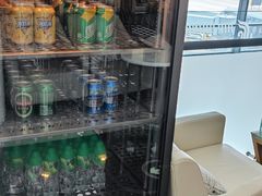 -虹桥机场国航贵宾室v8