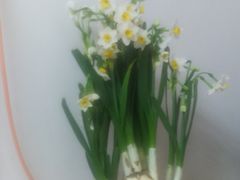 -溪岸路花鸟市场