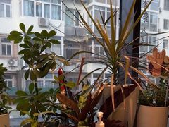 -懒人盐府人家(航天桥店)