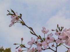 -西北湖绿化广场