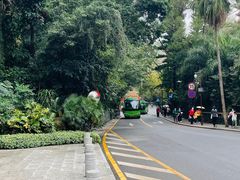 -深圳仙湖植物园