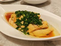 -喜来登由由大酒店九州膳坊中餐厅