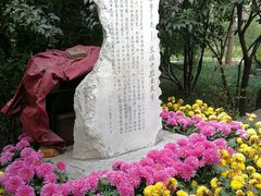 -莲湖公园