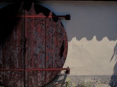 -上海佘山国家森林公园天马山园