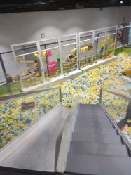 -反弹蹦床公园·亲子乐园·团建·派对(巴南万达店)