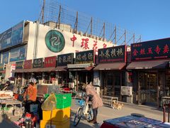 -中环花鸟鱼虫市场