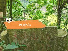-东莞市大岭山森林公园