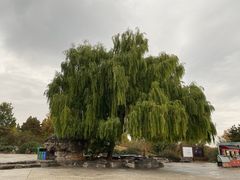 -北京西山国家森林公园