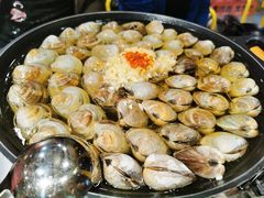 大白贝-水哥卜卜贝(东晓·胜汇里店)
