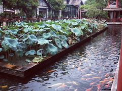 -小镇厨房(古镇店)