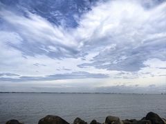-吴淞炮台湾湿地森林公园烧烤区