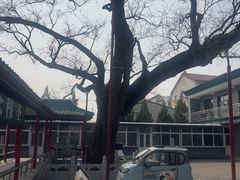 -大厂清真寺