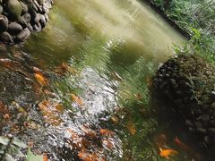 -成都杜甫草堂博物馆