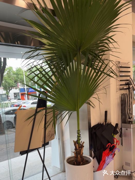 伊奈尔美甲美睫(明星合约店)图片