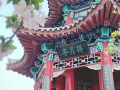 -济南大明湖景区