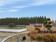 -嘉北郊野公园