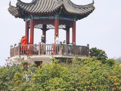 -贵州百里杜鹃风景名胜区
