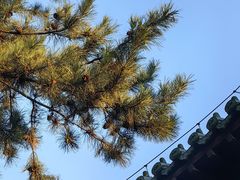 -关帝庙(大同古城)