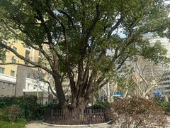 -徐家汇源景区-衡山公园