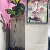 值得二次打卡