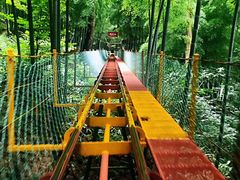 -藏龙百瀑风景区